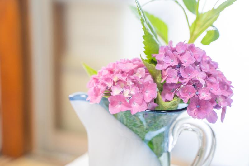 6月 花 楽しむ工夫