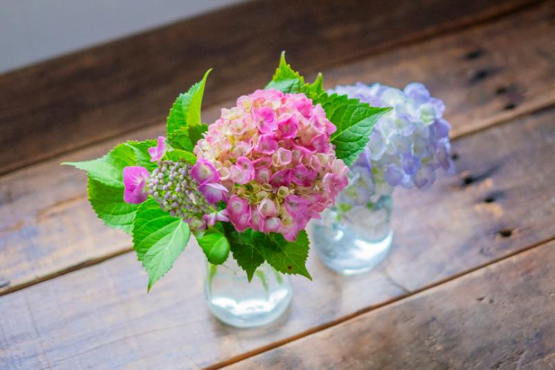 梅雨 花 楽しむアイデア