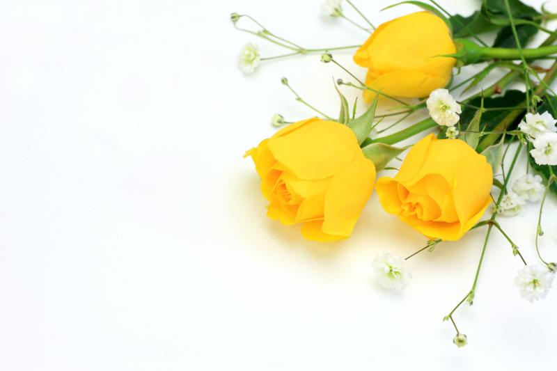 父の日 花 人気