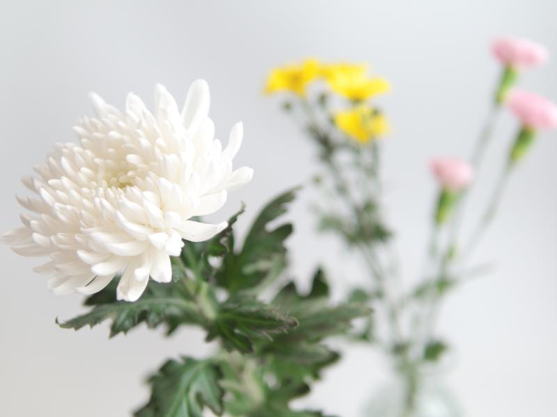 初盆 花 イメージ
