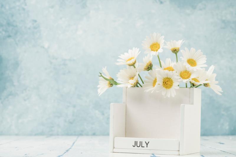 7月に咲く花