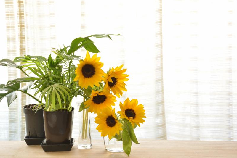 夏の花束を長持ちさせるコツ