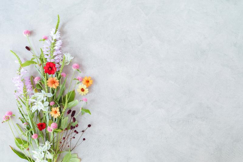 9月のフラワーギフトに人気の花材5選