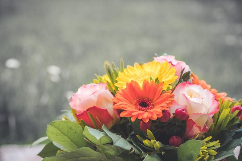 出産祝いの花束にぴったりな9月の花