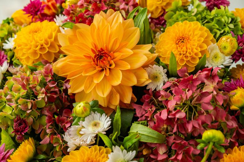 10月 旬の花 イメージ