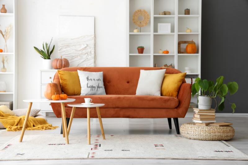 秋 観葉植物 インテリア イメージ