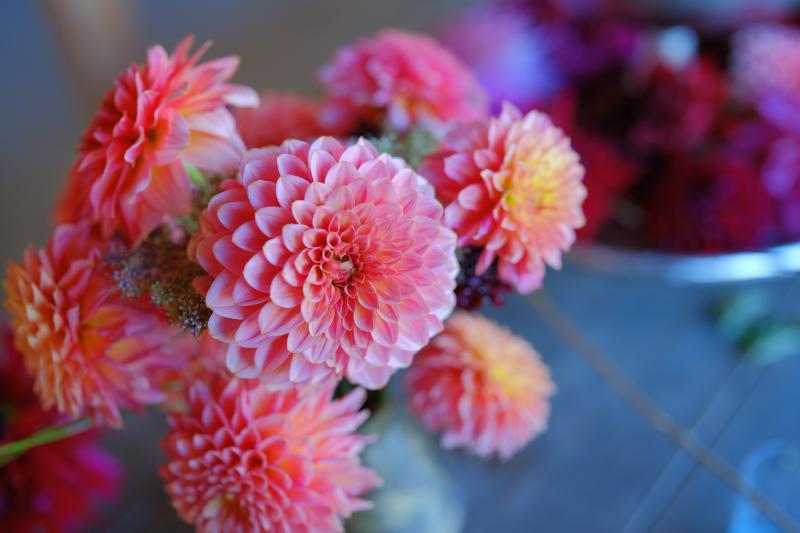 秋の花束に使われる人気のお花ランキング