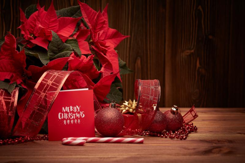 クリスマスアレンジメントを贈るときの注意点
