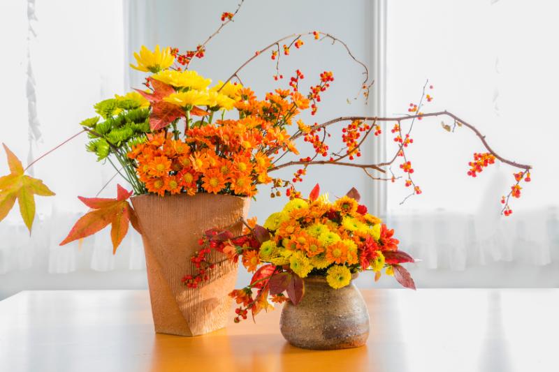 マム（菊）がフラワーギフトで人気な理由