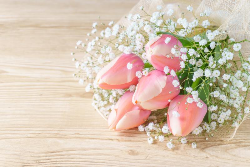 チューリップアレンジメントの選び方ガイド