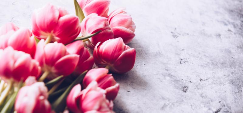 チューリップを購入するときの注意点